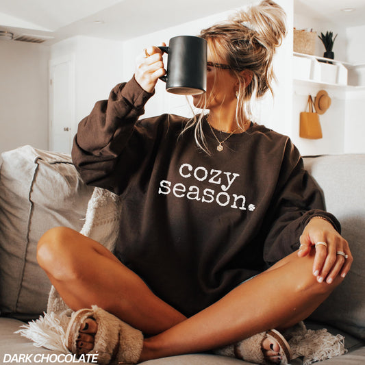 Cozy Season Sweatshirt, Fall Sweatshirt, Womens Sweatshirt, Minimalistic Shirt, Cozy Vibes, Fall Vibes, Holiday Sweatshirt, Cozy Sweatshirt