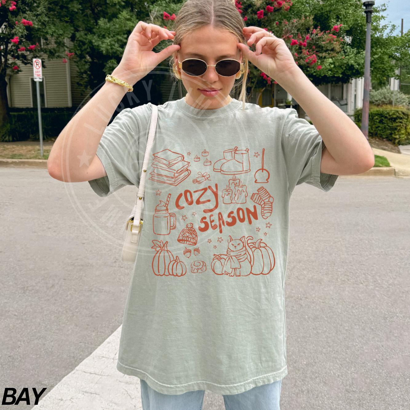 Cozy Season Shirt, Fall Vibes Shirt, Fall Tee, Fall pumpkin Shirt, Autumn Shirt, Pumpkin Season Top, Retro Fall Graphic Tee
